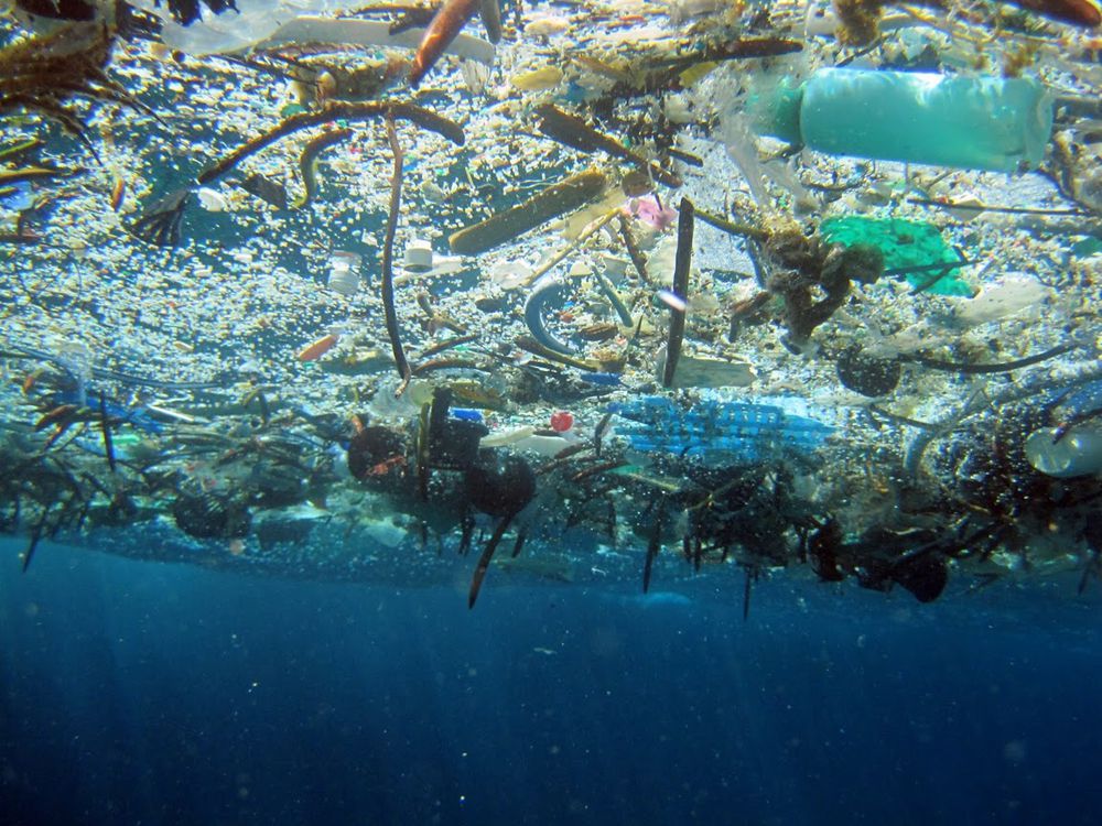 Great Pacific Garbage Patch